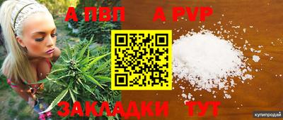 сатива Кимры