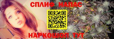 сатива Кимры