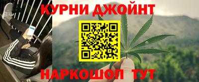 сатива Кимры